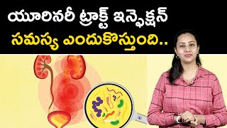 Urinary Tract infection causes | యూరినరీ ట్రాక్ట్ ఇన్ఫెక్షన్ సమస్య ఎందుకొస్తుంది | Samayam Telugu