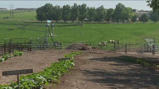 Nampa farm shares their love of the land with RV campers