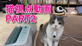 猫視点ライブPART2切り抜き！🐈