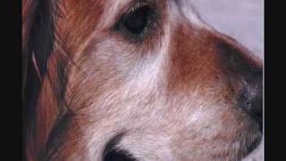 Zack tribute.wmv