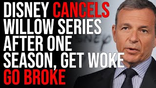 Disney CANCELS Willow Series After ONE SEASON, Get Woke Go Broke