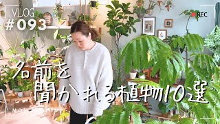 【10選】名前を聞かれる植物（Vlog/093）