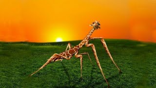 10 Awesome hybrid animals that actually exist (made in Photoshop Part 3). Top animal hybrids.