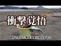 悍ましい怪物が釣れる堤防の魚を生きたまま温泉に投入してみたら！衝撃は覚悟下さいませ