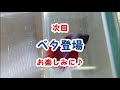 【ベタ】♯５　水槽立ち上げ～注水の儀～