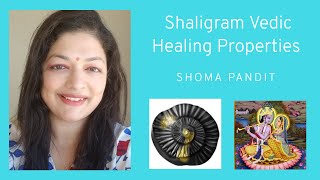 Shaligram Shila -Sri Vishnu (Ammonite Himalayan fossil) Vedic Healing Properties