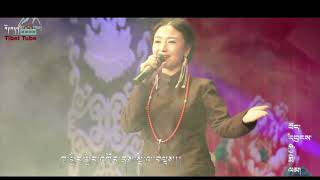 Tibetan new song ཁྱོད་ཀྱི་འགྲོ་རོགས། གླུ་མ། གནམ་མཚོ།