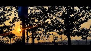 Kerwa Dam Bhopal | Cinematic | Travel Video