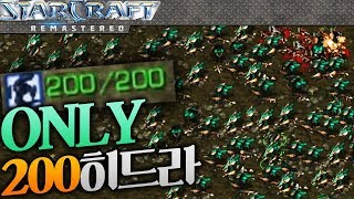 ONLY 히드라로 인구수 200채웠다 ㅋㅋㅋ 테란 다싸먹네 ㅋㅋ