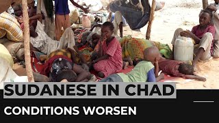 Sudanese refugees in Chad: Camp conditions worsen as agencies overwhelmed
