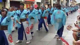 高知よさこい祭り2016　本祭二日目　祭人衆～まつりびと～　帯屋町演舞