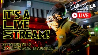 🔴 LIVE - Disney's Hollywood Studios Livestream - Disney World 01.28.25