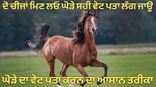 ਦੋ ਚੀਜਾਂ ਮਿਣ ਲਓ,, ਘੋੜੇ ਦਾ ਸਹੀ ਭਾਰ ਪਤਾ ਲੱਗ ਜਾਊ