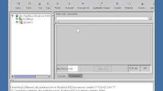 Lesson2 The Console | JAVA J2EE Tutorials
