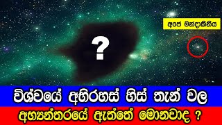 විශ්වයේ අභිරහස් හිස් තැන් වල අභ්‍යන්තරයේ ඇත්තේ මොනවාද ? What  IS A Void?