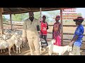 How do u get money after investing in the breeding stock of goats (every starter should know this )