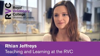 Rhian Jeffreys - Teaching and Learning at RVC