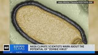 Scientists warn about "zombie" virus
