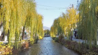 23年12月10日 快晴の日曜日に京都を歩く 知恩院,神宮道,白川,古川町商店街 Walk around Kyoto city,Japan vlog