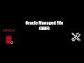 Oracle Managed File OMF