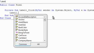 Working with labels in visual basic 2008