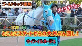 【ゴールドシップ産駒】デビュー戦からやってくれた⁉️とことこスタートで出遅れでも最後の脚はかっこよかった✨ウインイルネージュ