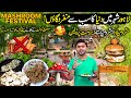 Pakistan's Biggest MUSHROOM Festival At LAHORE ORGANIC VILLAGE | Street Food