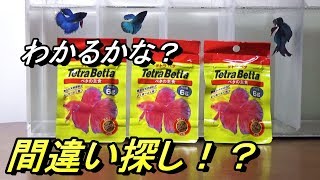 ベタのエサ紹介！　明らかに違う！？