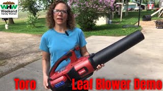 Clean The Driveway Quickly With The Toro Flex Force 60V Leaf Blower Demonstration