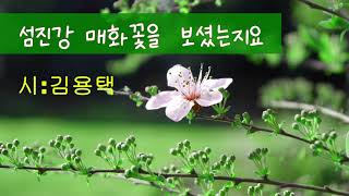 [시낭송]섬진강 매화꽃을 보셨는지요#김용택#봄(낭송:봉경미/음악:손방원팬플룻)