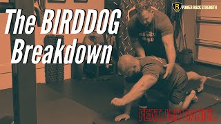 The Birddog Breakdown feat. Ian Daniel (McGill Big 3)