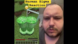 Hurman Sigma Reaction | Minecraft KRIPPER #hurman #sigma #reaction #minecraft #kripper