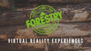 Timber Harvesting VR Experience | Processor