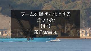 ブームを揚げて北上するガット船【4K】第八金吉丸