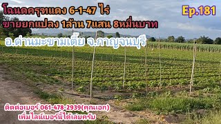 Ep.181 ขายโฉนดครุฑแดง 6-1-47 ไร่ ขายยกแปลง 1.78 ล้านบาท จ.กาญจนบุรี