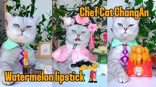 Watermelon lipstick 💄 The process of making lipstick#catsofyoutube #food