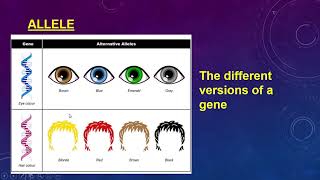 1  Genetics Terminology Part 1