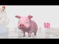 彩球玩具機🌈🎉 更多兒歌合集｜domikids 中文｜nursery rhymes