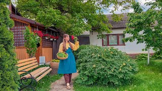 Embrace the Beauty of Countryside Living | Finding Joy in Simple Things | Cottagecore Habits