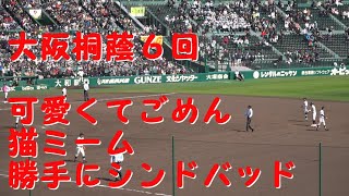 大阪桐蔭６回【猫ミーム（チピチピチャパチャパ）～勝手にシンドバッド】2024春の甲子園