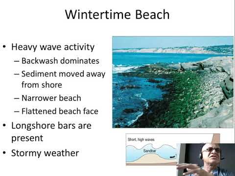 How are winter beaches different from summer beaches?