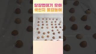 달걀 껍데기 모아 엄마표 집콕 물감 놀이! 집에서도 손쉽게 엄마표 놀이 학습 따라해보세요! 자세한 내용은 댓글이나 더보기란에!