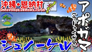 A snorkeling spot for Okinawans! \