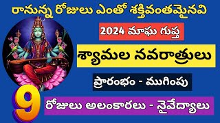 2024 మాఘ గుప్త శ్యామల నవరాత్రులు ప్రారంభం - ముగింపు తేదీలు..9 రోజులు అలంకారలు.. నైవేద్యాలు