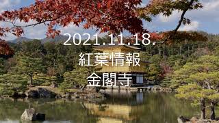 2021 11 18 　紅葉情報　金閣寺