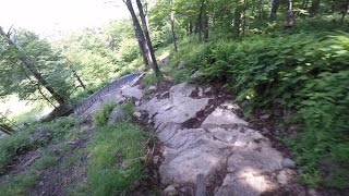 Bromont DH Bonzaï Trail 19/Piste 19