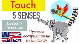 Английский на АНГЛИЙСКОМ .Урок 7. Осязание. Sense of Touch