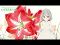 【花言葉】5月28日の誕生花は？／花白もか