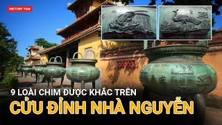 9 LOÀI CHIM ĐƯỢC KHẮC TRÊN CỬU ĐỈNH NHÀ NGUYỄN | TGM HISTORY