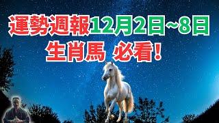 命理測算：屬馬人一週運勢（12月2日至8日），內含吉凶日，一定要看！ #生肖馬2024年運程 #生肖馬2024年運勢 #屬馬人2024年運程 #屬馬人2024年運勢